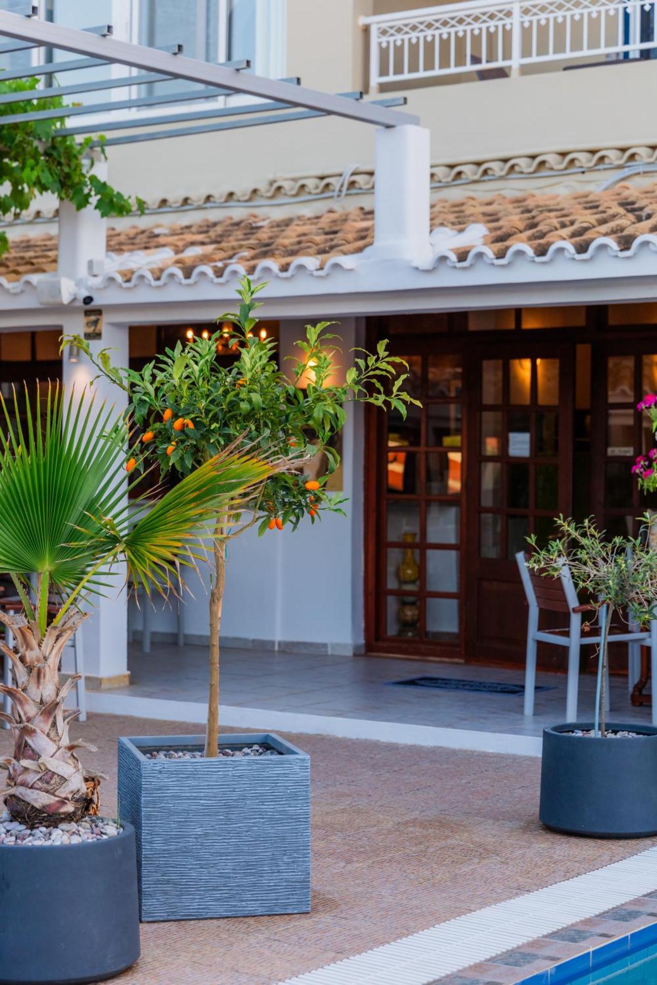 Sunsea Wellness Resort Агиос Стефанос Экстерьер фото
